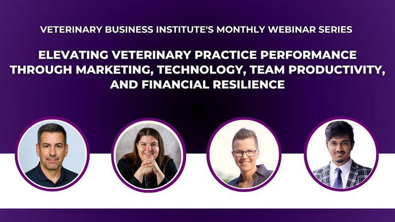 Elevating Veterinary Practice Performance Through Marketing, Technology, Team Productivity, and Financial Resilience
